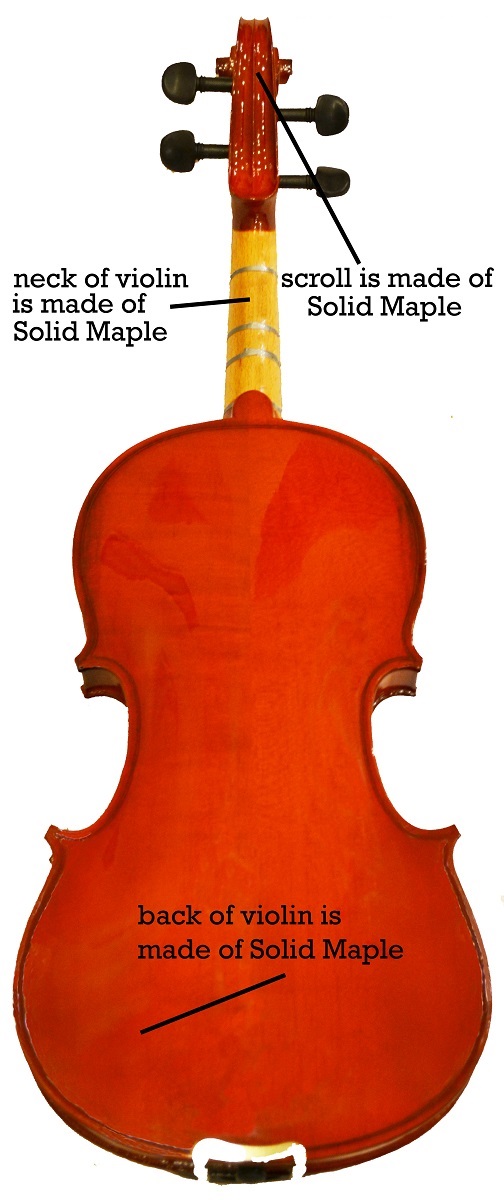 Back View of Beginner Violin Mozart Violins Model 12