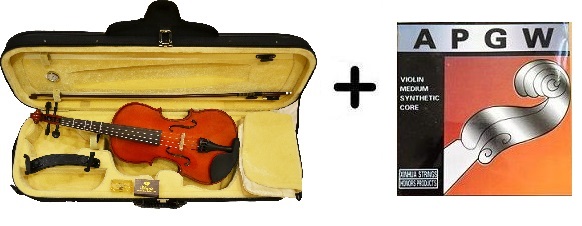 4/4 Full Size Model 12 Violin and Strings