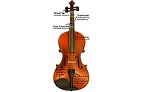 Violins for Beginners-Model 12 Antique-25